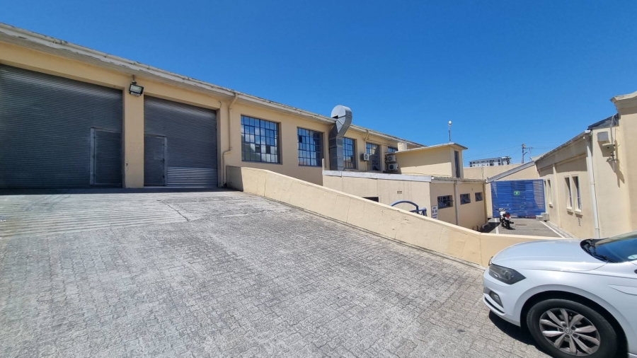 To Let commercial Property for Rent in Observatory Western Cape